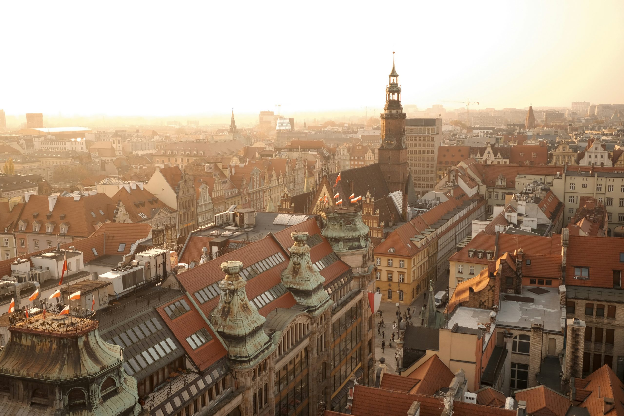 Słoneczny Wrocław.